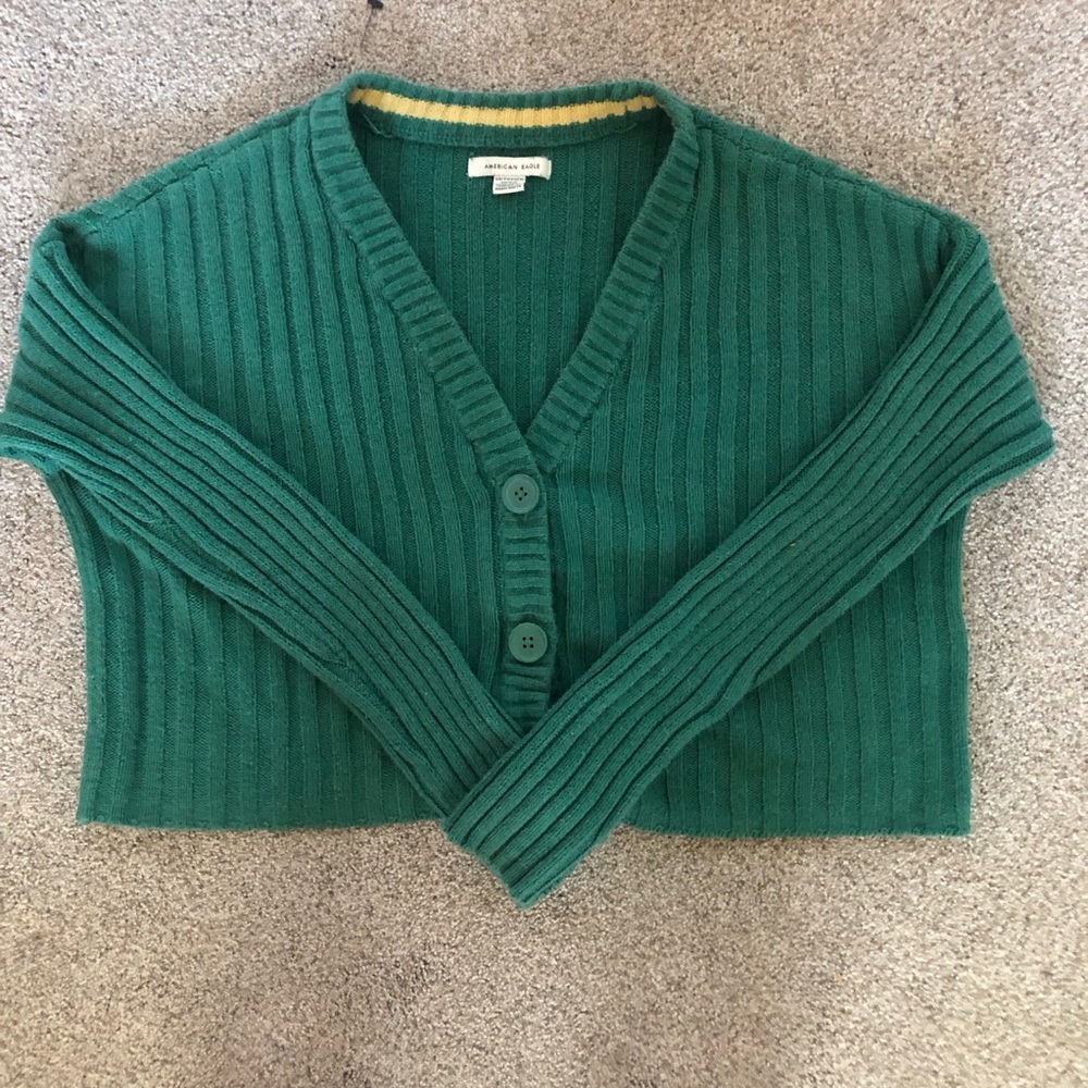 Cropped American Eagle Sweater